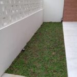 IMG_20230913_112530_1