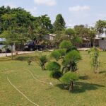 IMG_20231007_095145_1