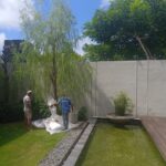 IMG_20240516_124153_1