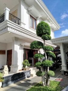 Estetika Agung Taman Landscape