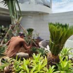 IMG_20241202_132743[1]