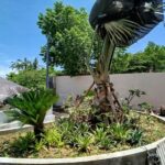 IMG_20241203_121128[1]